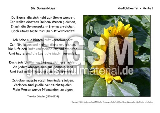 Die-Sonnenblume-Däubler.pdf
